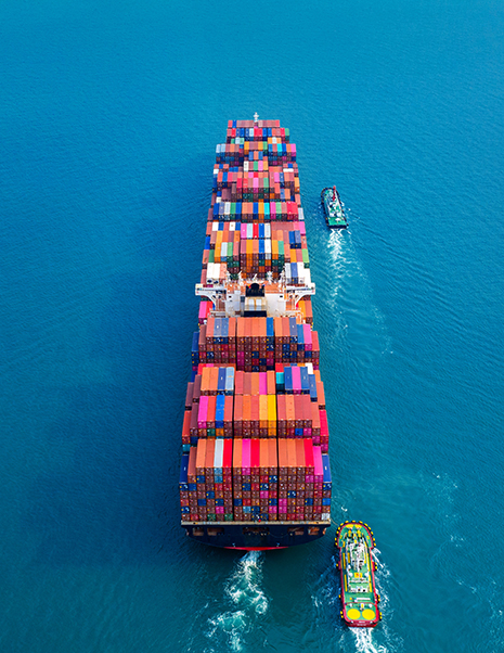 south shore about us